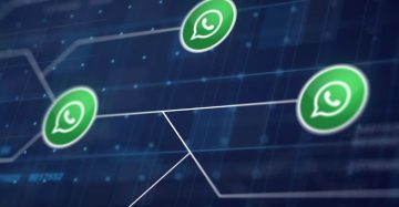 Whatsapp business API